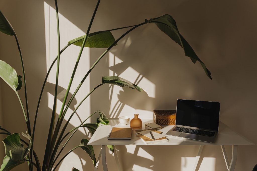 What a Small Business Website That Actually Ranks Looks Like (And How It Got There). 