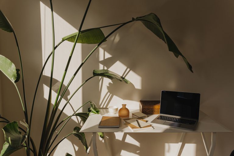 What a Small Business Website That Actually Ranks Looks Like (And How It Got There). 